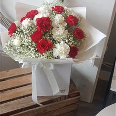 Carnation Celebration 