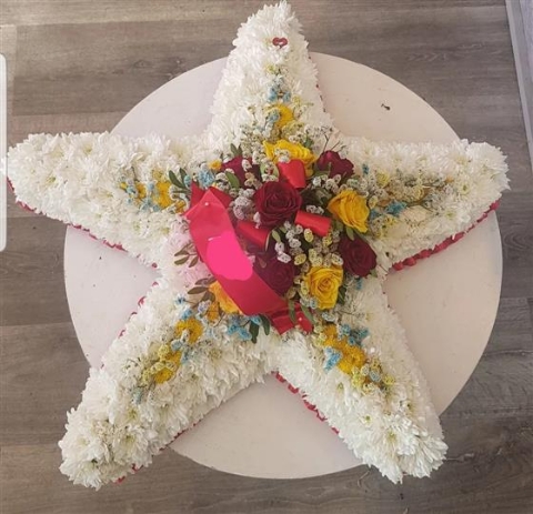 Shaped Tribute