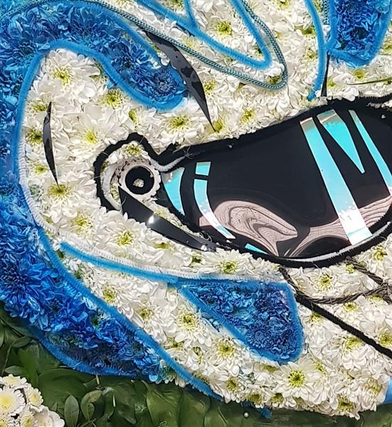 2D Motorbike Helmet