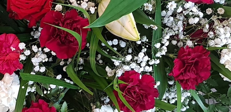 Burgandy and Ivory Casket Spray