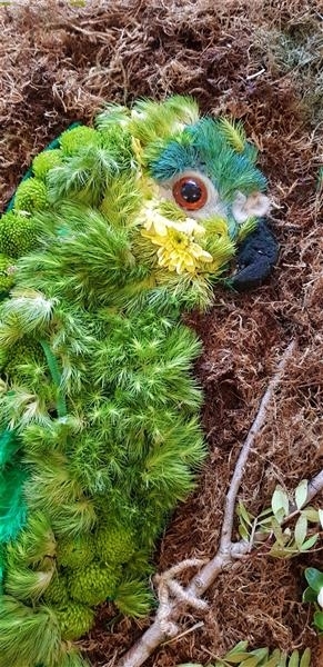 2D Parrot
